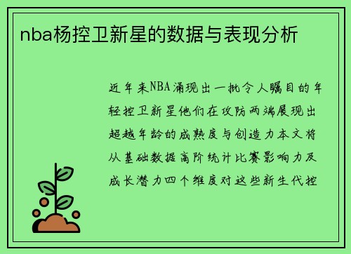 nba杨控卫新星的数据与表现分析